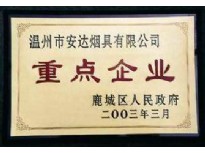 鹿城區(qū)人民政府2003重點企業(yè)